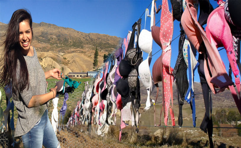 Bras Hanging on a Fence in New Zealand