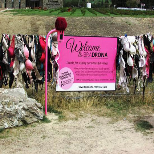 Bras Hanging on a Fence in New Zealand