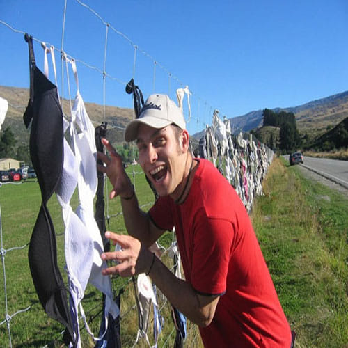 Bras Hanging on a Fence in New Zealand
