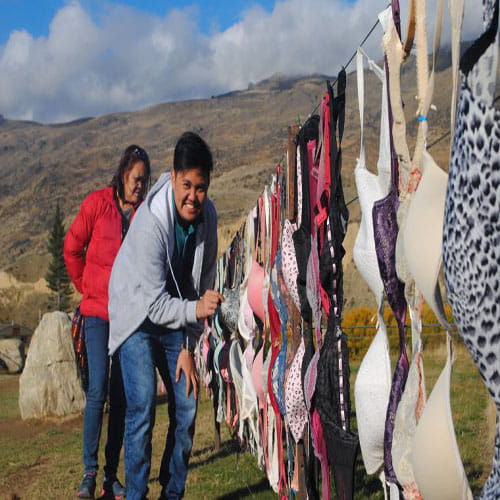 Bras Hanging on a Fence in New Zealand