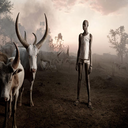  tribe that uses cow-urine showers