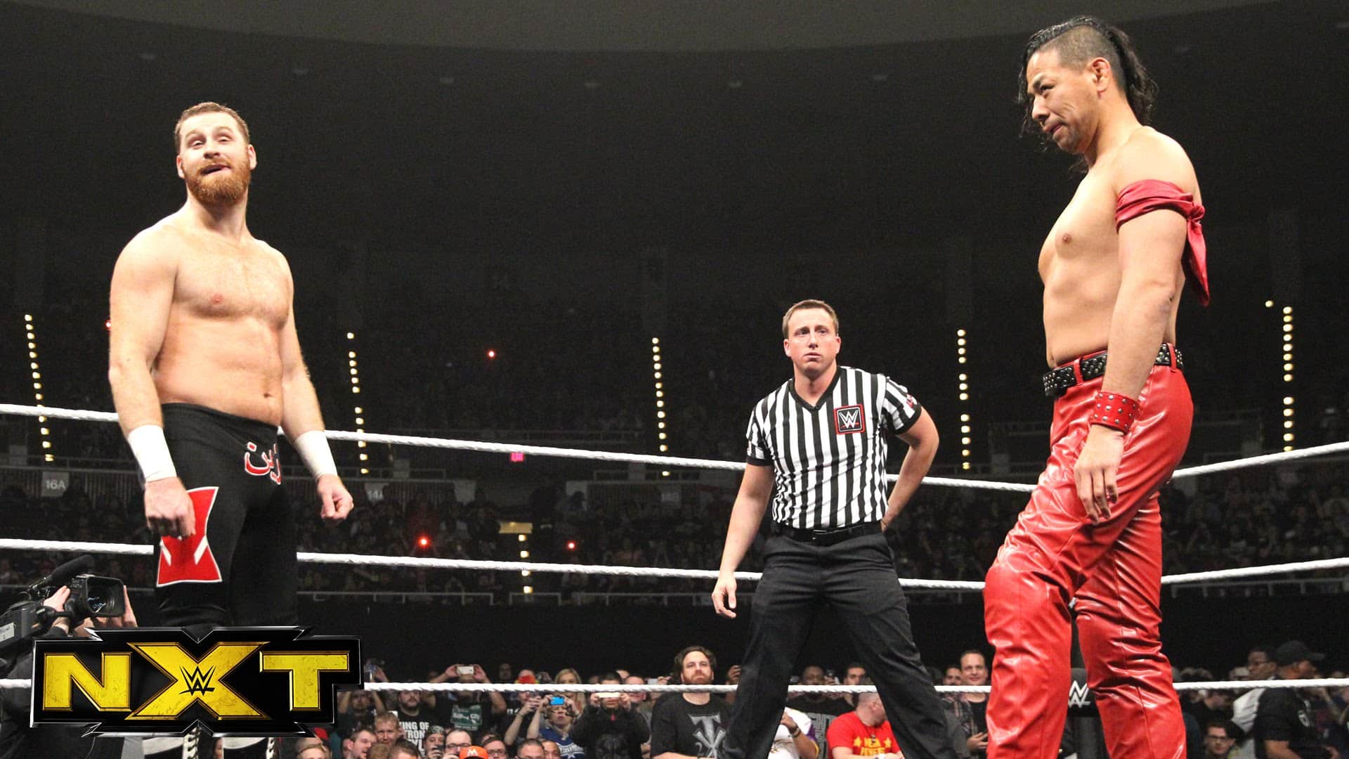 Wrestlers who can retire John Cena