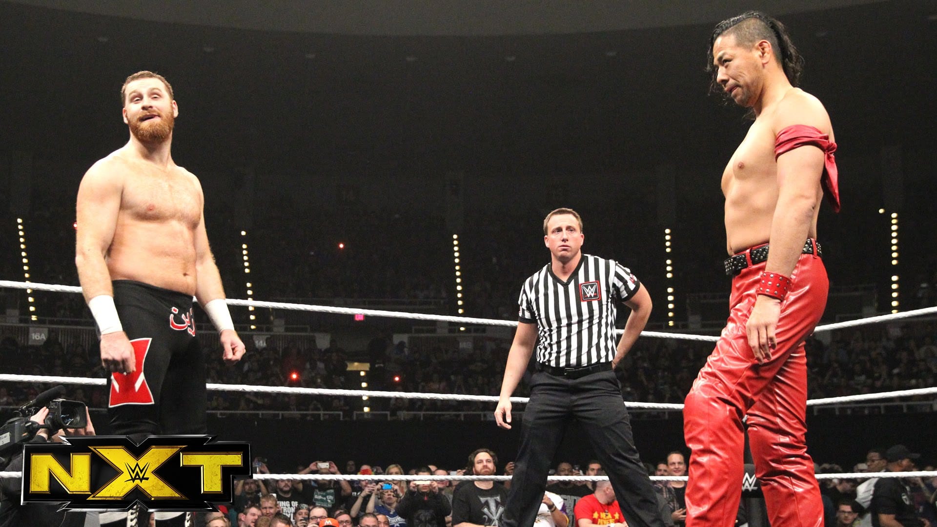 Wrestlers who can retire John Cena