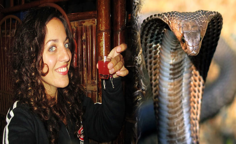 Cobra blood shots on indonesia streets 