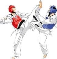 Taekwondo Sports championship, DAV school, two students got medals, muktsar, jalandhar, punjab