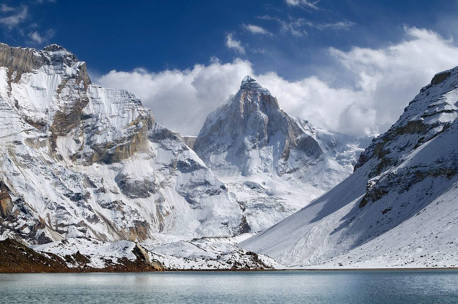 poland mountaineers stranded on shivling peak in uttarakhand.