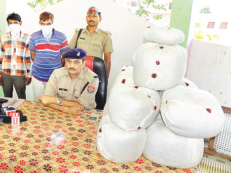 Two young men with 45 kg ganja cede its