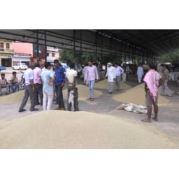 e-trading, former, buisnesman, grain, grain mandi,