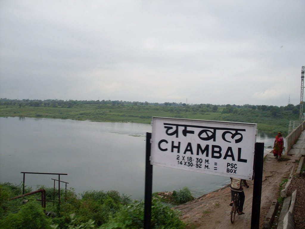 Chambal ravines free from dacoits are occupied by aligators