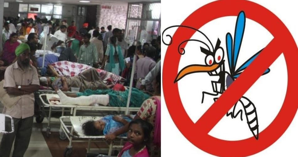 malaria may be life threatening and dangerous in summer season, precaution is the only solution