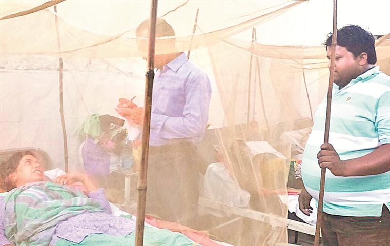 Dengue son's death, father in critical condition