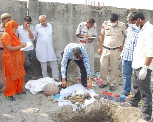 grand mother killed two months grand daughter, truth exposed in police enquiry