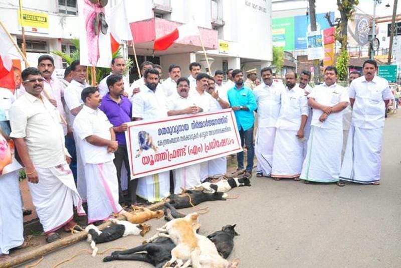 Political leaders killed dogs and paraded their carcasses on the streets 
