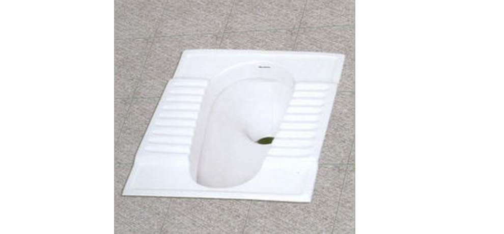 govt will impose 1000 rupee penalty if your toilet is not clean