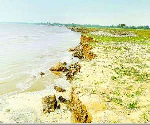 Ghagra trimming of nine houses contained