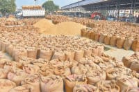 farmers relax, rice purchaging, mandi, kaithal