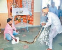 snake in school, stidents and teacher in fear