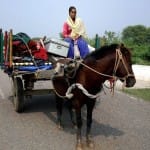 सीमा पर लगी फसलों को काटने लौटे ग्रामीण