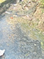 Grease two, will again buy fogging machine, Kurukshetra