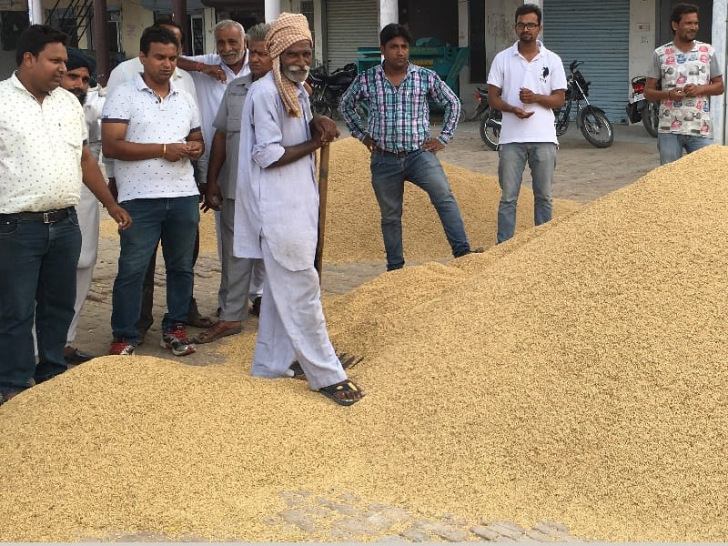 EOW registered 44 case In matter of Grain scam