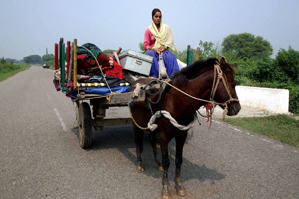VILLEGERS OF BORDER RETURNED TO HOME FOR AGRICULTURE
