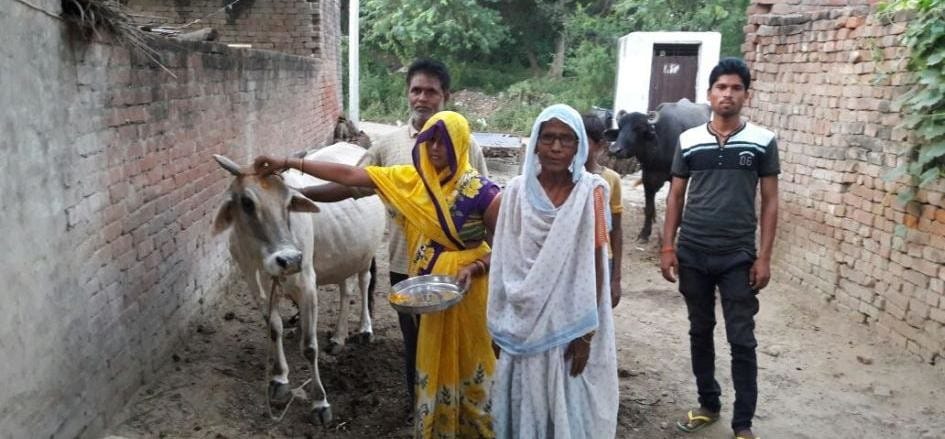cow giving milk from last 15 year, villagers are doing worship