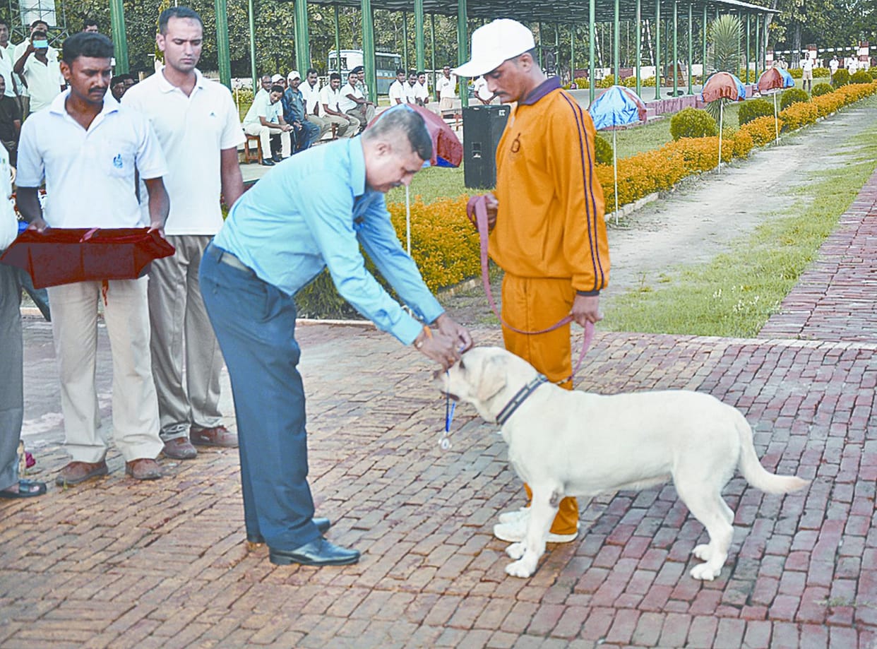Lalu, shiva, noori won gold