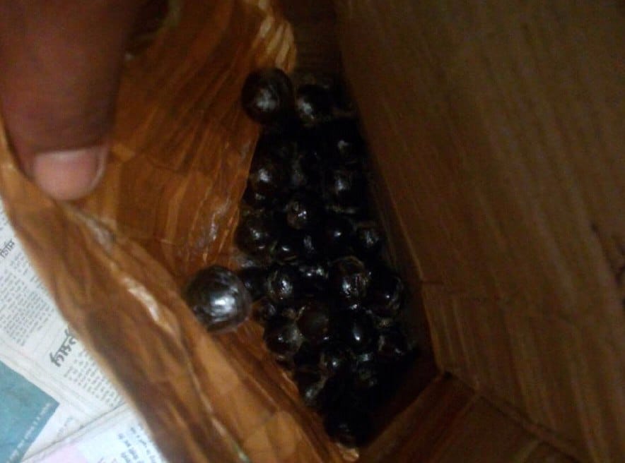 Nepalese hashish had fled, leaving a bag full