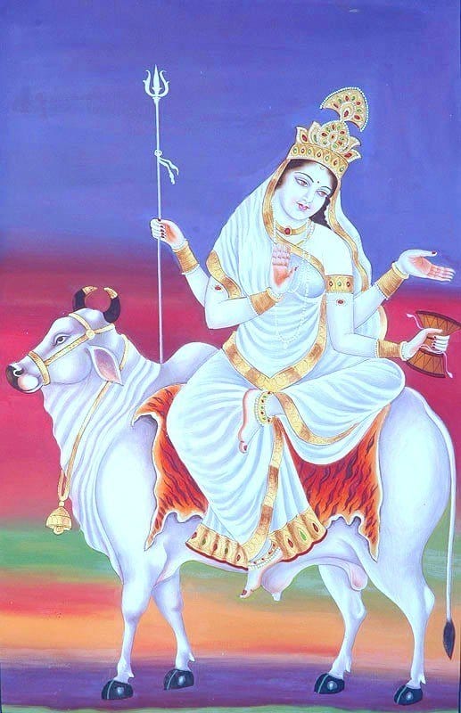 navratri shailputri devi puja