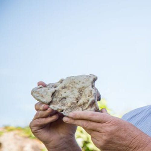 Father and son find whale vomit