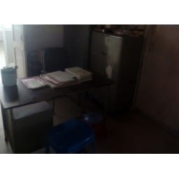 jhajjar, crime, doctor, lady, jhajjar news