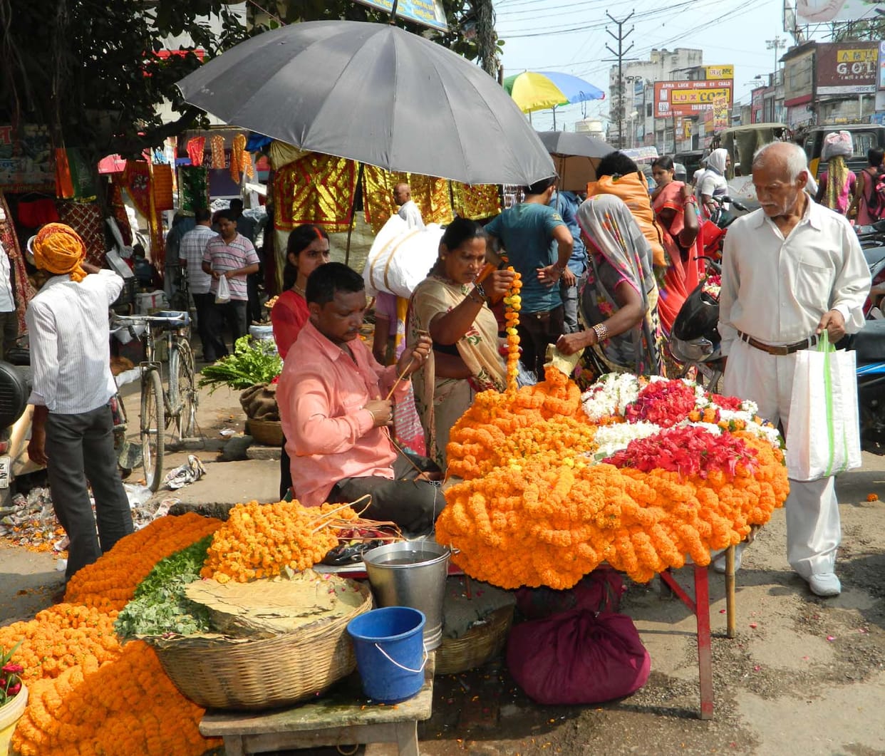 Navratri today, has dressed Temple