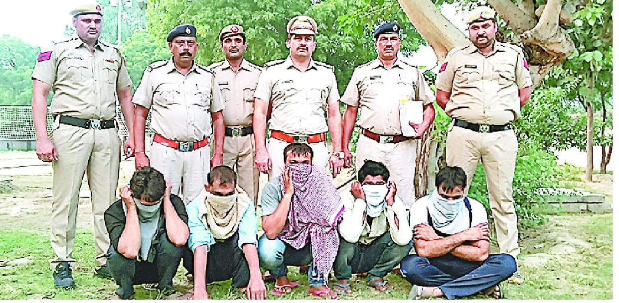 loot, panipat, haryana, cantenar