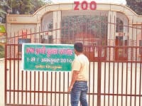 Wildlife lovers will be able to see the zoo for free throughout the week, Kurukshetra