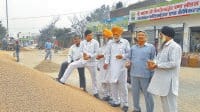 Took stock of the grain market to buy rice, Kurukshetra, Ismailabad