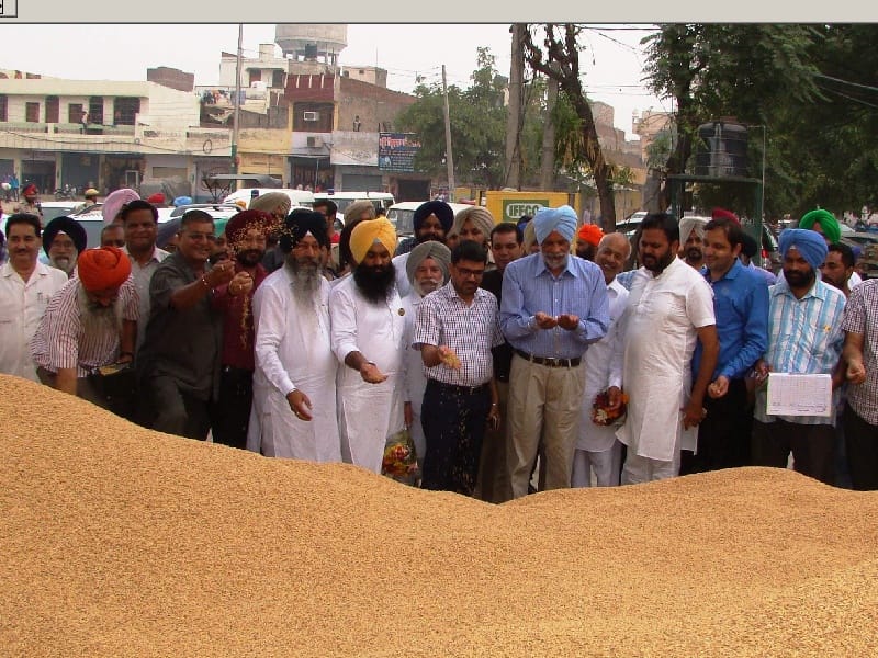 Paddy procurement started, the new grain market, Cabinet Minister Surjit Singh Rakhra, Patiala