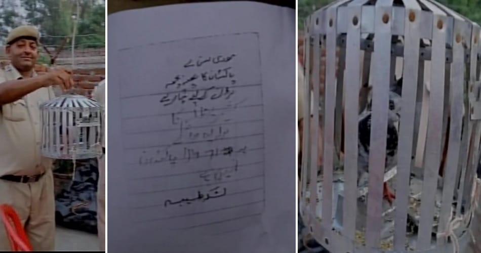 pakistani spy peigon caught by bsf in Pathankot
