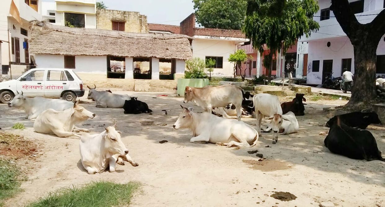 care full! Openly on the streets Are turning death Prkale