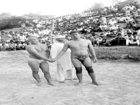 pahlwan in dangal