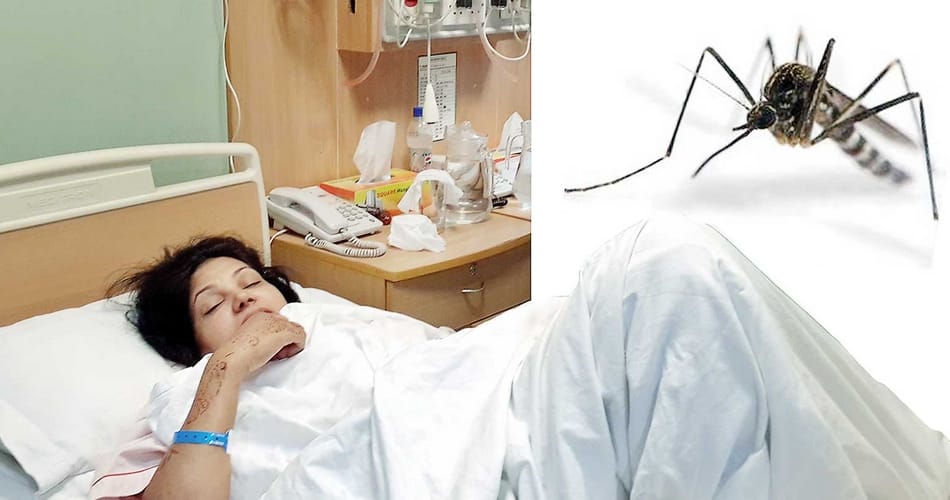 ANM contract dengue deaths