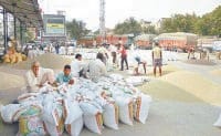 sutrday, bazara, govrment, rate, bajra, former, not sell