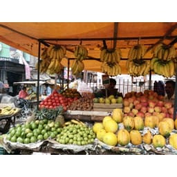 navratri, flower, fruit, narnaul,demand