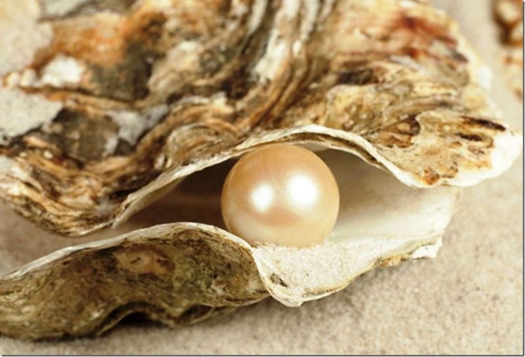 Pearl Gemstone benefits know who can wear Pearl