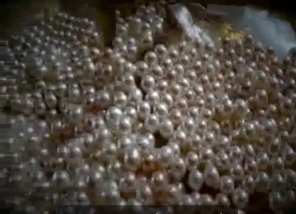 pearl treasure will produce in uttarakhand
