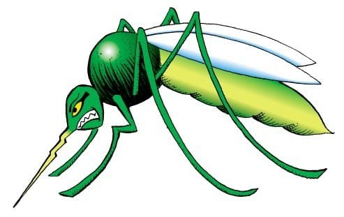 The sting of dengue in Bageshwar