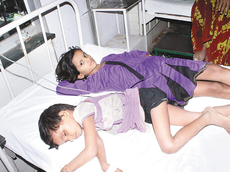 children took jetropha fruit, got sick