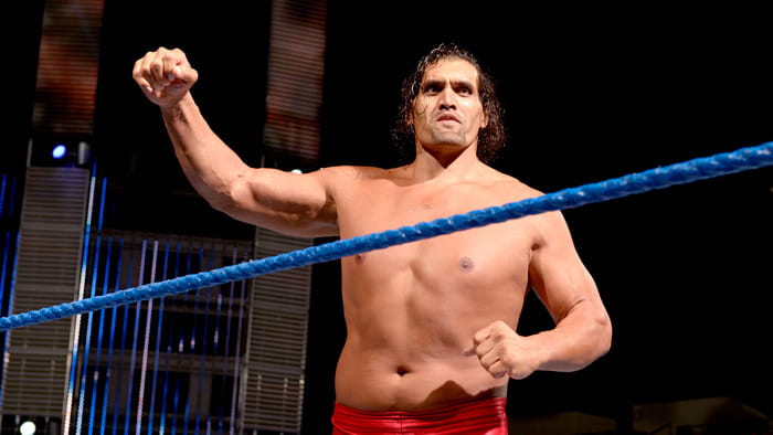 wwe champion the great khali will fight in ring with international wrestlers