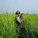 Search Operation