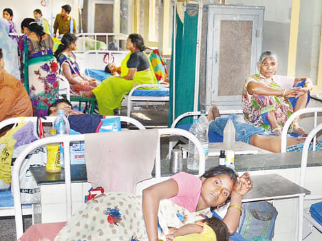  virul fever caused two death