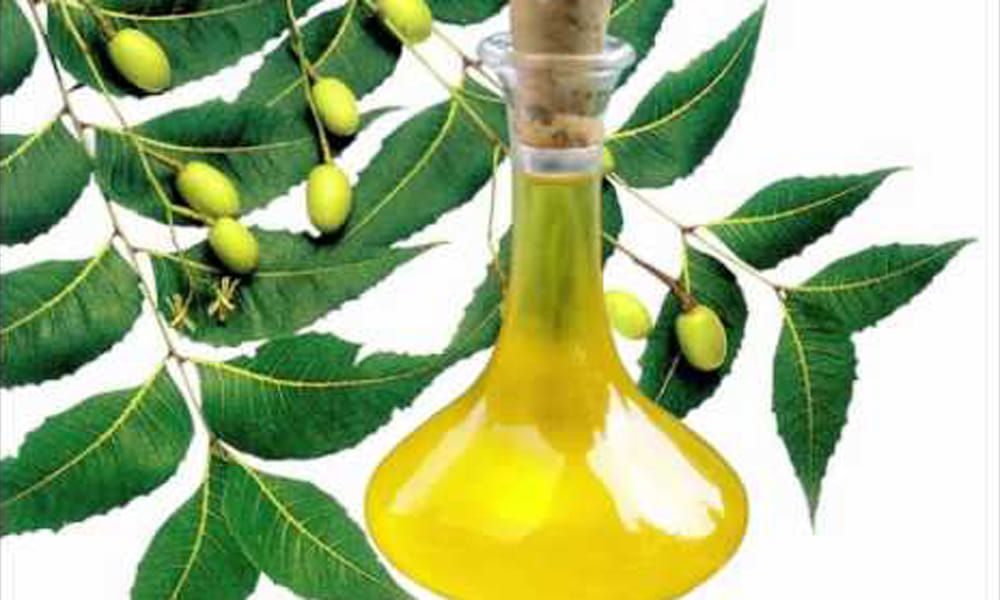natural ways to remove mosquito at home